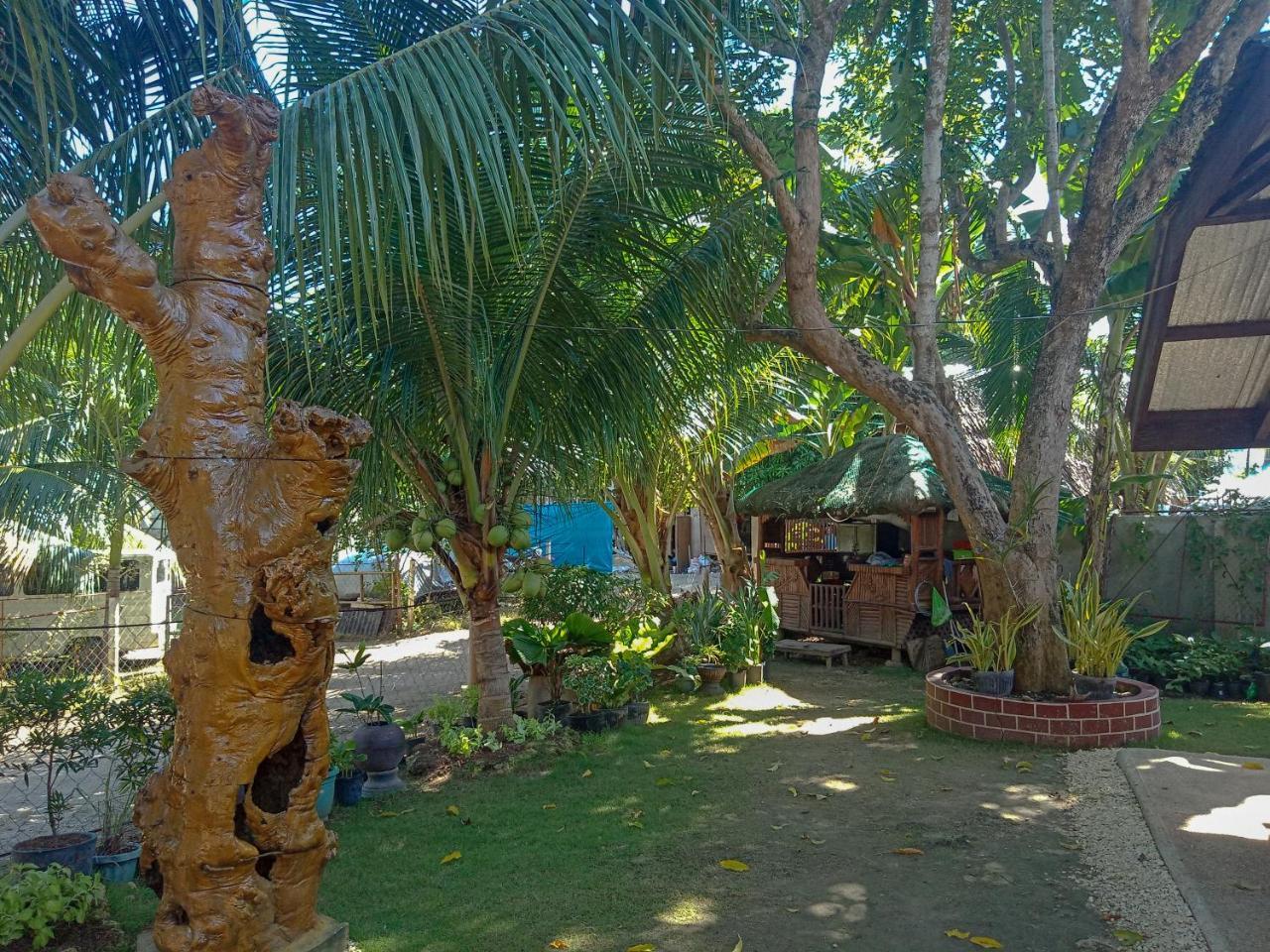 Pitaya Native Guest House Đảo Đảo Panglao Ngoại thất bức ảnh